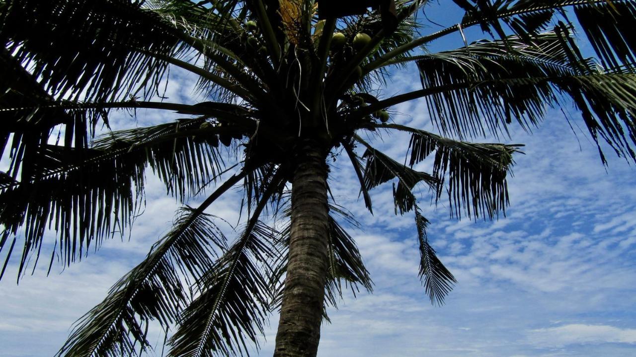 Dikaloha Surfschool And Stay Airsatang Exteriér fotografie