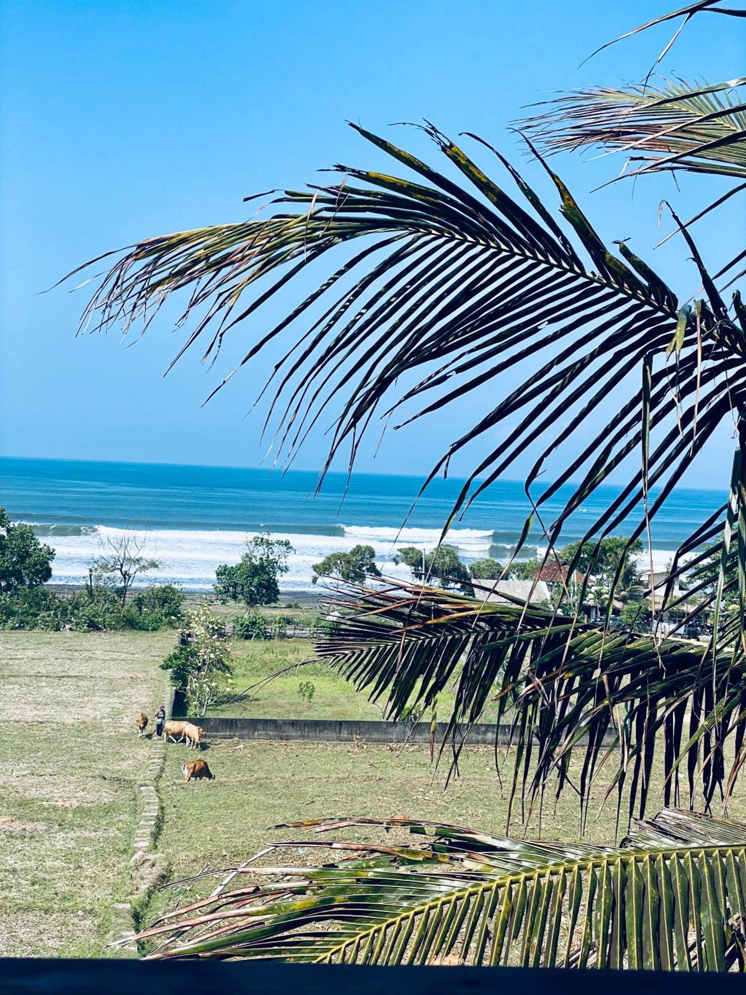 Dikaloha Surfschool And Stay Airsatang Exteriér fotografie